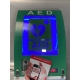 AED Buiten Kast et LED, Alarm en Codeslot